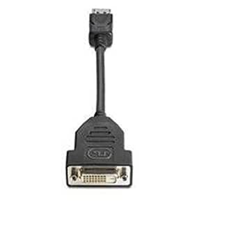 HP 481409-002 DisplayPort to DVI-D Video Cable (Renewed)