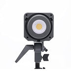 Aputure APM021XA11 Amaran 100d S LED Video Light
