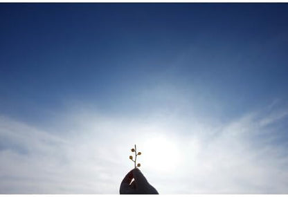 Sigma 10-18mm DC DN Lens: Canon RF Mount, Wide Angle