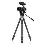 Benro TTOR24CLV Tortoise Carbon Fiber Columnless Tripod