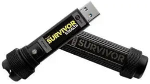 Corsair ASC523020ADA01 Survivor Stealth 256GB USB 3.0 Flash Drive — main product image