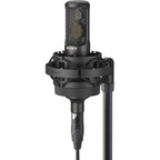 Sony C100 Studio Microphone Two-Way Condenser Recording