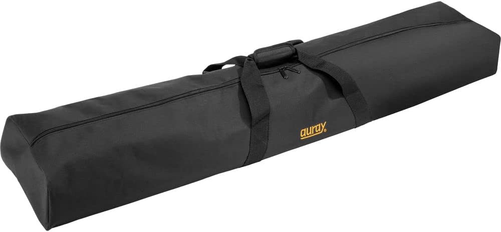 Samson RSXM10A 800W Active Stage Monitor Bundle