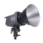 Aputure Amaran 100d S Daylight LED Video Light