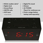 RCA RCDW10 AM/FM Weather Alert Radio Red Display