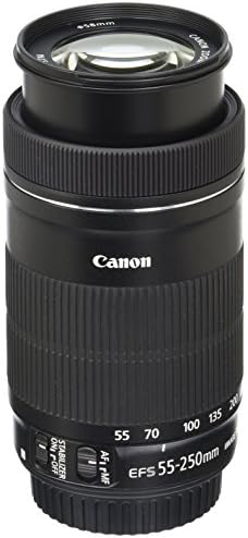 Canon EF-S55-250ISSTM 55-250mm f/4-5.6 IS STM Lens