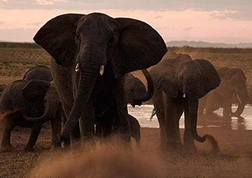 Tamron E11TM150600VCCN SP 150-600mm Canon EF Lens Bundle