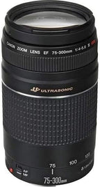 Canon 6473A003 EF 75-300mm Telephoto Zoom Lens