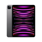 Apple iPad Pro 11-inch M2 256GB WiFi 6E Space Gray