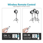 Neewer 90096328 480 LED Video Light Kit Remote
