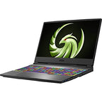 MSI Alpha 15 A4DEK Gaming Laptop Ryzen 7 RX 5600M
