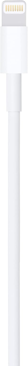 Apple Lightning to USB Cable 2m