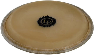 Latin Percussion LP267A 10-Inch City Series Conga Head