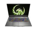 MSI ALPHA17 Alpha 17 Ryzen 7 RX 5600M Gaming Laptop