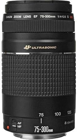 Canon 6472A002 EF 75-300mm f/4-5.6 III USM Zoom Lens