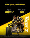 Lexar Thor Z Series RGB DDR5 Desktop Gaming Memory