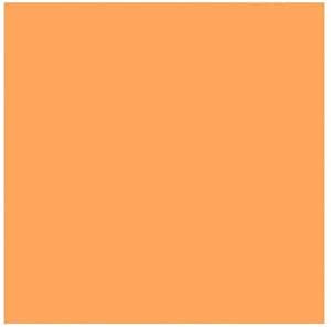 Rosco Roscolux Gallo Gold Lighting Filter 20x24"