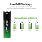 BENKIA 18650 Rechargeable Button-Top Battery and Charger Set