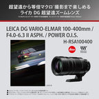 Panasonic H-RSA100400 100-400mm F4.0-6.3 Micro Four Thirds Lens