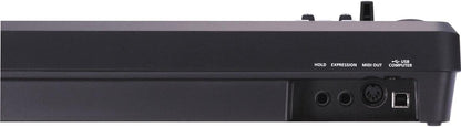 Roland A-49-BK Lightweight 49-Key MIDI Keyboard Black
