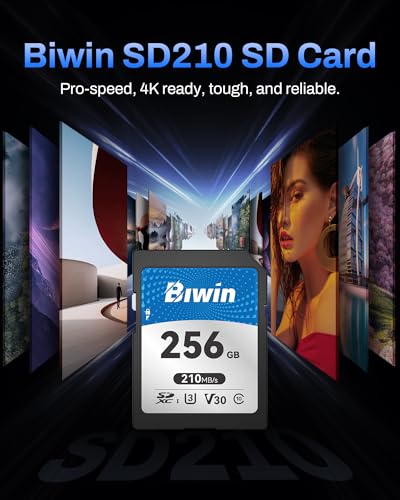 BIWIN SD210 256GB V30 Rugged UHS-I SDXC Memory Card — main product image