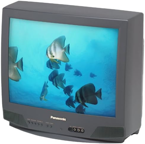 Panasonic CT-20D10 20" TV - Standard Definition