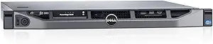 Dell ASISVR61 PowerEdge R220 2TB Server (Renewed)