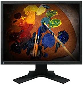 Eizo S2100-BK 21" LCD Monitor - Slim Bezel