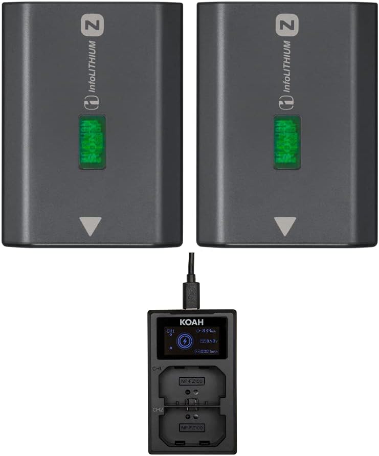 Sony NPFZ100_K7 Camera Battery Two-Pack with Dual Charger — main product image