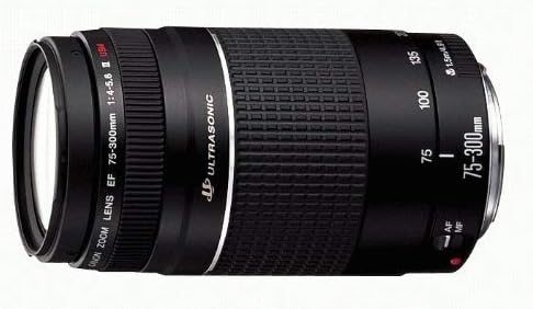 Canon 6473A003 EF 75-300mm Telephoto Zoom Lens