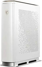 MSI MSIP100036 Prestige P100 9SE-036US Desktop