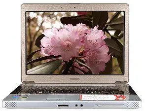 Toshiba E105-S1402 Satellite Laptop Core 2 Duo 14.1