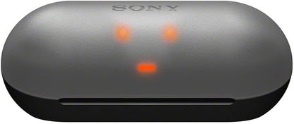 Sony WF-C500 BZ Truly Wireless Earbuds Black