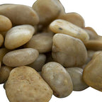 MSI AMZ-LSC-0008P Niagara Polished Yellow Decorative Pebbles 40lb