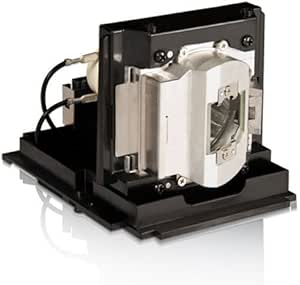 InFocus IN5533R Projector Lamp Assembly