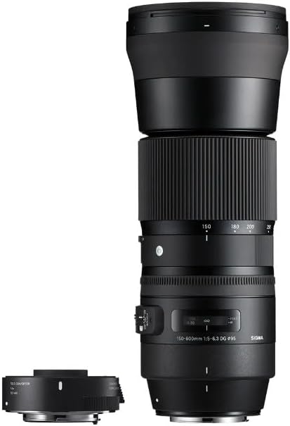 Sigma 150-600mm Nikon Lens with 1.4x Teleconverter Kit