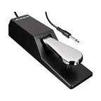 Alesis ASP2 Sustain Pedal: Universal Keyboard Accessory
