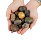 MSI AMZ-LSC-0001P Polished Mixed Pebbles 40lb Bag