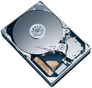 Hitachi HTS421212H9AT00 120GB Laptop Hard Drive: 4200RPM