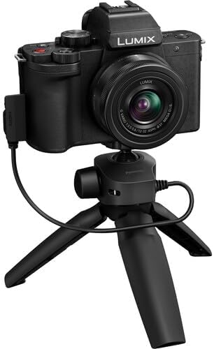 Panasonic E64PNDCG100DVK LUMIX G100D 4K Mirrorless Camera Bundle