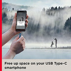 SanDisk SDDDC3-256G-G46NB 256GB Ultra Dual Drive Go USB-C