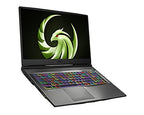 MSI ALPHA17 Alpha 17 Ryzen 7 RX 5600M Gaming Laptop