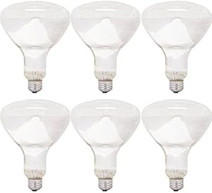 GE 24998 ProLine BR40 Floodlight Bulbs 6-Pack — main product image