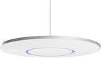 Shure CEILING1 Stem Ceiling Microphone Array Conference Room