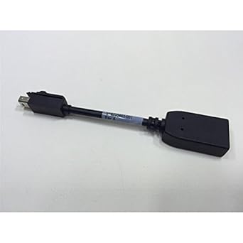 HP 2310399 Mini DP to DP Adapter Cable — main product image