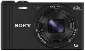 Sony DSC-WX350B.CE3 Cyber-shot 20x Zoom Camera Bundle — main product image