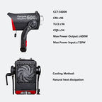 Aputure FP-AP-10056 LS 600D Daylight LED Video Light