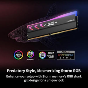 SP Silicon Power Storm RGB DDR5-6000 Desktop Memory