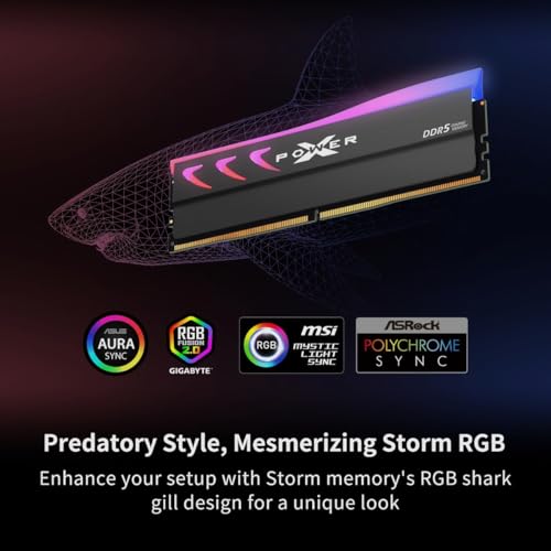 SP Silicon Power Storm RGB DDR5-6000 Desktop Memory — main product image