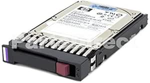 HP 653954-001-SC G8 G9 1TB SAS Hard Drives - 2 Pack (Renewed)